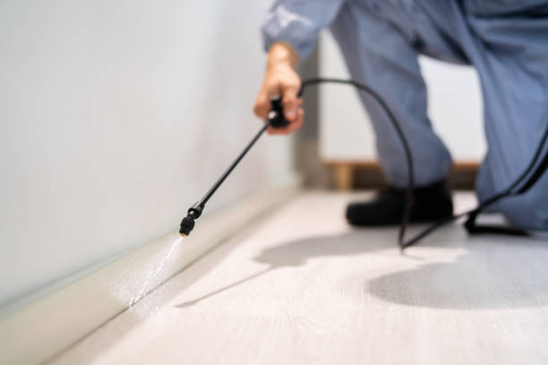 Licensed Pest Control service in White Pigeon, MI - Show Me Pest Control