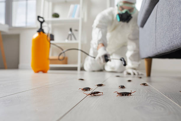 Commercial Kitchen Cockroach Control in White Pigeon